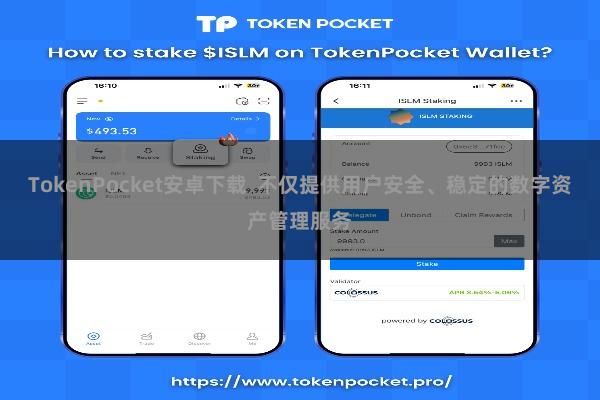 TokenPocket安卓下载 不仅提供用户安全、稳定的数字资产管理服务